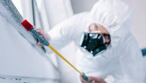 Best Pest Control for Warehouses  in Ranlo, NC